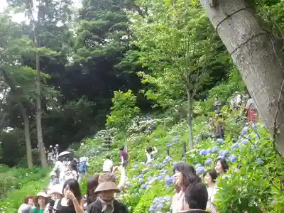 長谷寺のその他建物