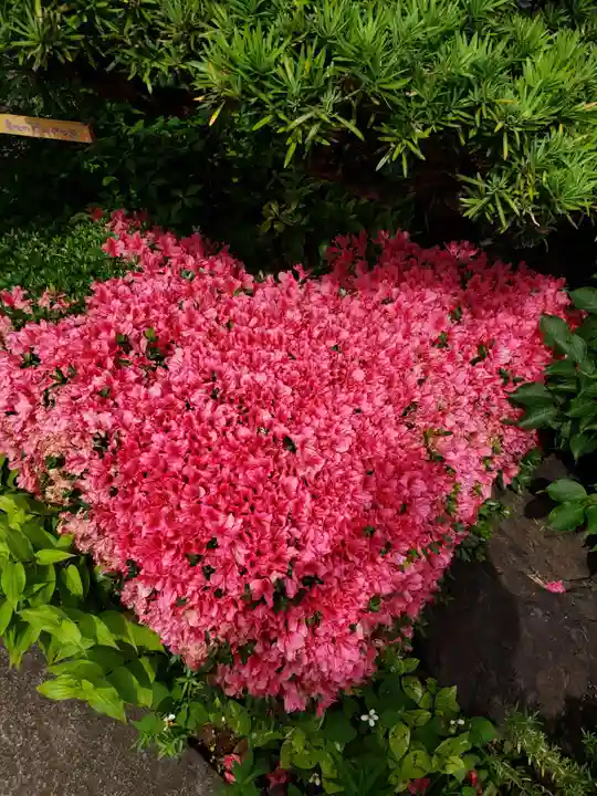 一乗寺(東京都)