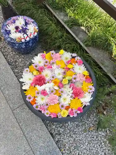 埼玉厄除け開運大師・龍泉寺（切り絵御朱印発祥の寺）の{uncategorized: "未分類", other: "その他", undefined: "問題あり", building: "その他建物", grave: "お墓", sacred_gate: "鳥居", guardian: "狛犬", statue: "像", buddha: "仏像", history: "歴史", nature: "自然", garden: "庭園", animal: "動物", pagoda: "塔", temizu: "手水舎", mountain_gate: "山門・神門", sanctuary: "本殿・本堂", subordinate: "末社・摂社", art: "芸術", scenery: "景色", jizo: "地蔵", ema: "絵馬", goshuin: "御朱印", omikuji: "おみくじ", items: "授与品その他", amulet: "お守り", goshuincho: "御朱印帳", eats: "食事", festival: "お祭り", votive_dance: "神楽", shichigosan: "七五三参", wedding: "結婚式", experience: "体験その他", initially: "初詣", around: "周辺", anti_infection: "感染症対策"}