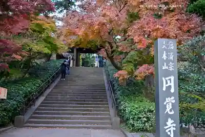 円覚寺(神奈川県)