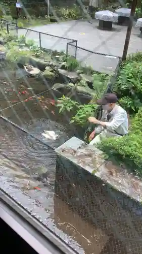 玉簾神社の庭園