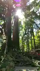 貴船神社の自然