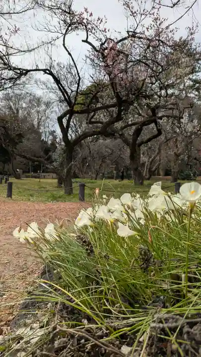 半木神社(賀茂別雷神社境外末社)(京都府)