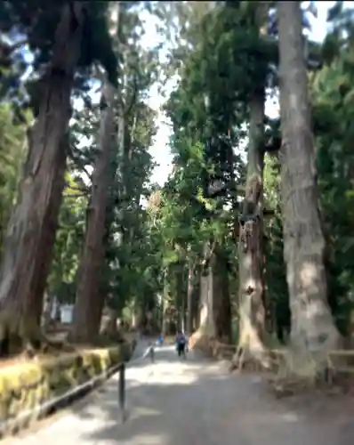 中尊寺 弁慶堂(岩手県)