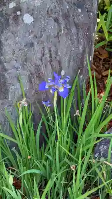 浄安寺(京都府)
