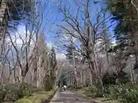 戸隠神社奥社(長野県)