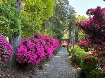 安住神社(栃木県)