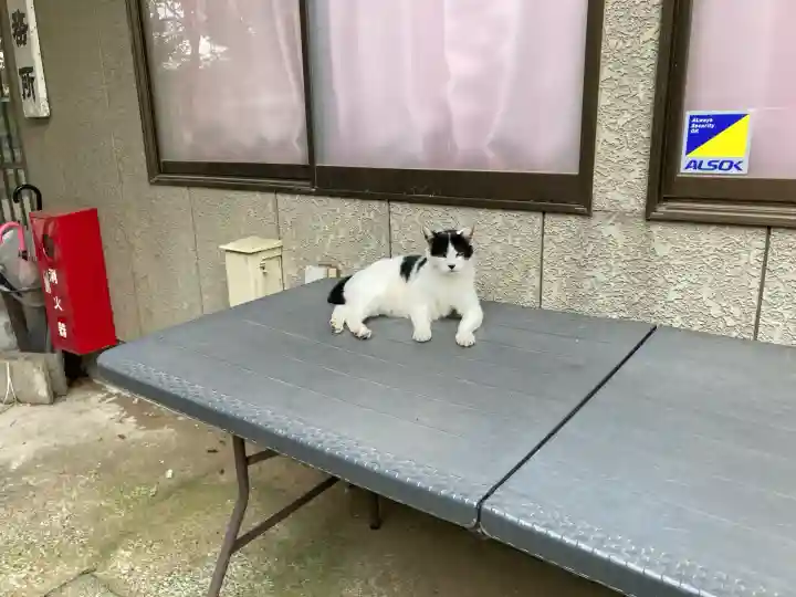 鎌数伊勢大神宮(千葉県)