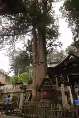 三峯神社の自然