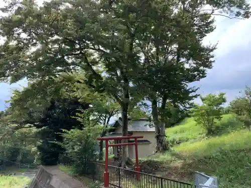 神社（名称不明）の景色