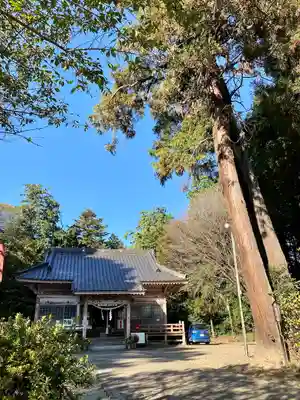 千代ケ岡八幡宮の本殿・本堂