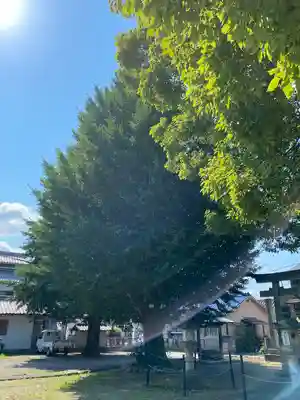 愛宕神社(愛知県)