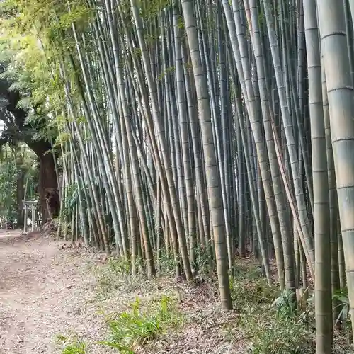 八幡神社の自然