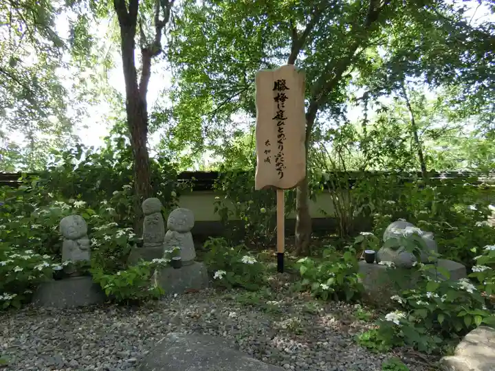 観音寺(京都府)