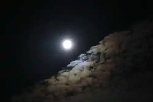 鹿島大神宮の自然