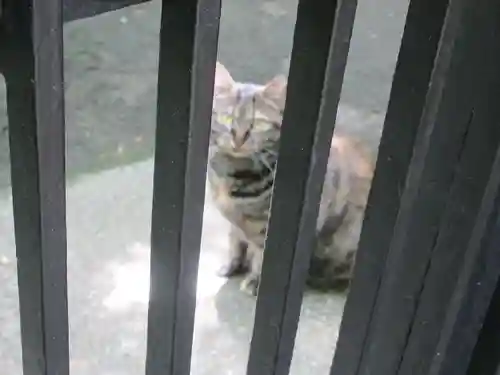 無量寺(東京都)