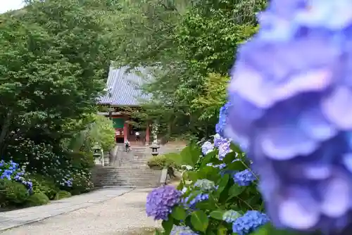矢田寺のその他建物