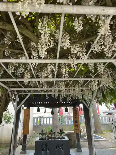 奥田神社の{uncategorized: "未分類", other: "その他", undefined: "問題あり", building: "その他建物", grave: "お墓", sacred_gate: "鳥居", guardian: "狛犬", statue: "像", buddha: "仏像", history: "歴史", nature: "自然", garden: "庭園", animal: "動物", pagoda: "塔", temizu: "手水舎", mountain_gate: "山門・神門", sanctuary: "本殿・本堂", subordinate: "末社・摂社", art: "芸術", scenery: "景色", jizo: "地蔵", ema: "絵馬", goshuin: "御朱印", omikuji: "おみくじ", items: "授与品その他", amulet: "お守り", goshuincho: "御朱印帳", eats: "食事", festival: "お祭り", votive_dance: "神楽", shichigosan: "七五三参", wedding: "結婚式", experience: "体験その他", initially: "初詣", around: "周辺", anti_infection: "感染症対策"}