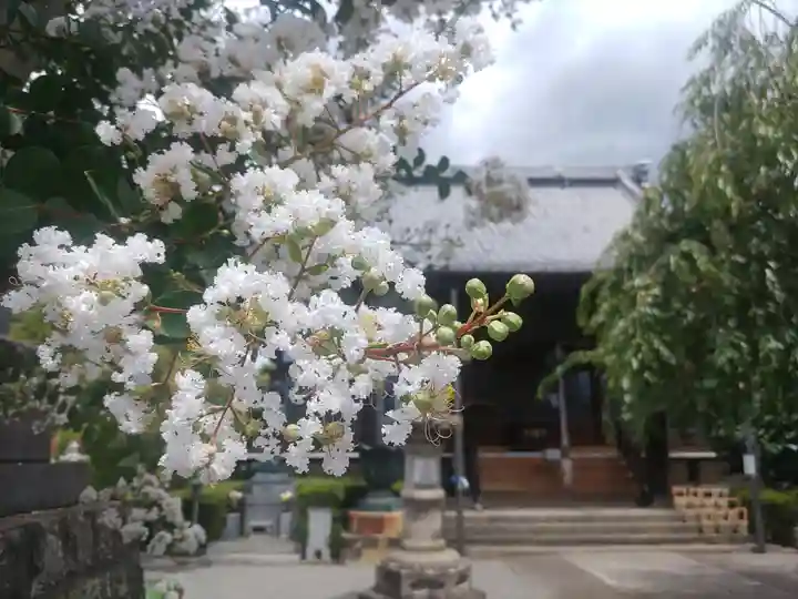 大蔵院(群馬県)