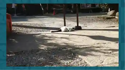 間々田八幡宮(栃木県)