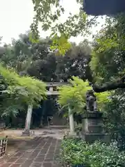 赤坂氷川神社(東京都)