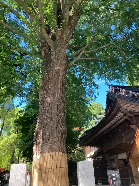 田無神社(東京都)