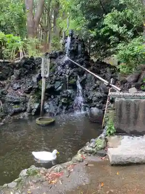 平塚八幡宮(神奈川県)