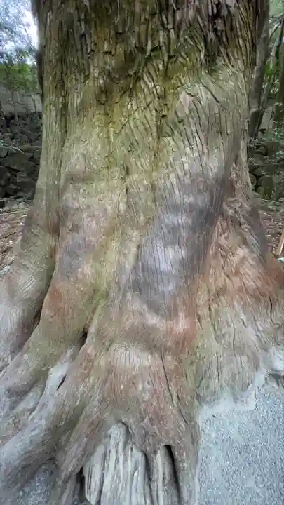 伊勢神宮内宮(皇大神宮)(三重県)