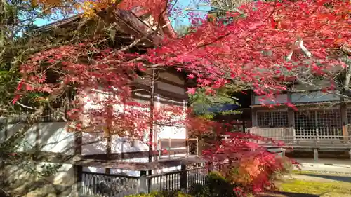 出石神社(兵庫県)