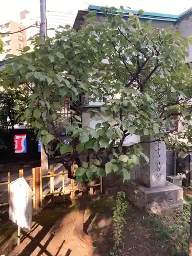 大鳥神社(東京都)