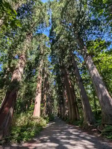 戸隠神社奥社(長野県)