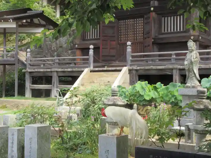 楽法寺(雨引観音)の本殿・本堂