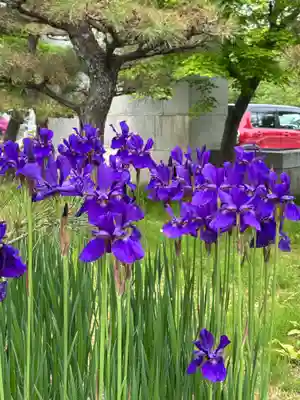 開成山大神宮(福島県)