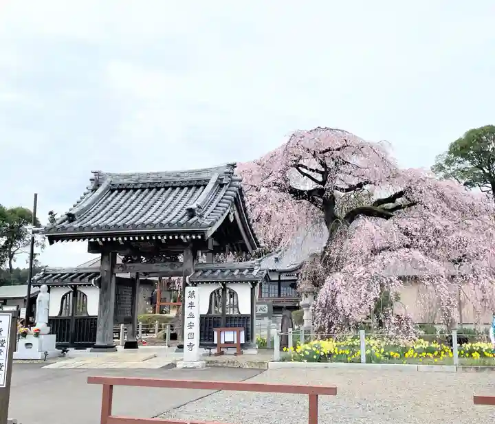 安国寺のその他建物