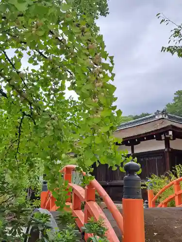賀茂御祖神社（下鴨神社）(京都府)