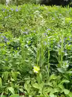 白狐山光星寺(山形県)