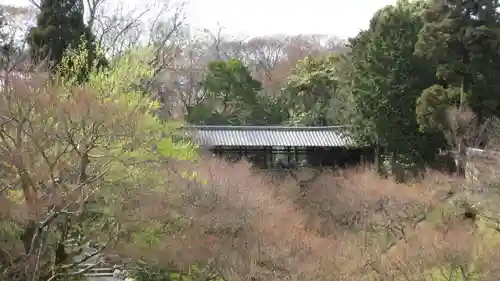 東福禅寺（東福寺）の本殿・本堂