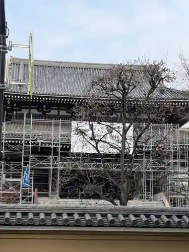 霊雲寺(東京都)