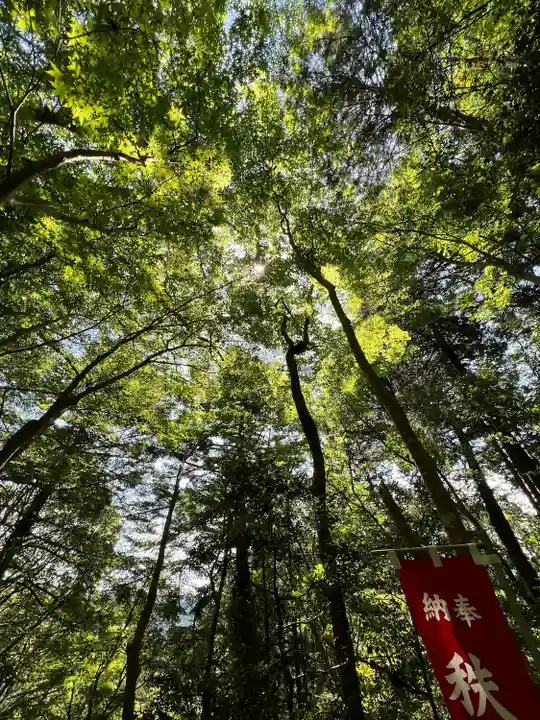 秩父御嶽神社(埼玉県)