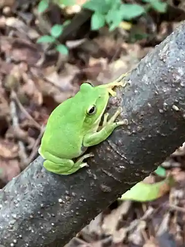 十二山神社(群馬県)