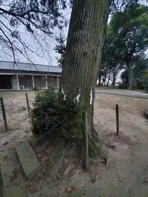 豊布都神社(埼玉県)
