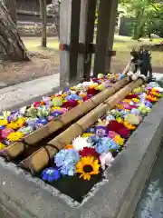 札幌護國神社の手水