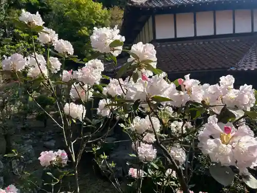 木舟山　順教寺(広島県)