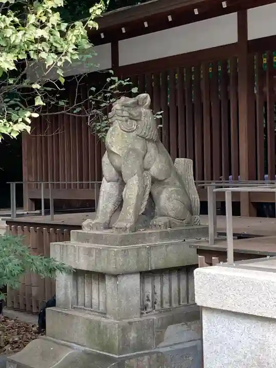 乃木神社の狛犬