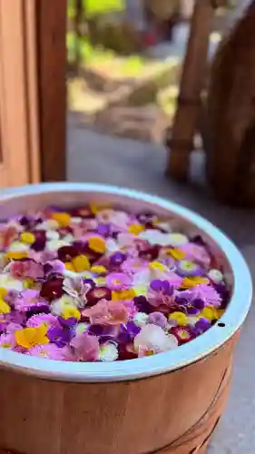 御井神社(岐阜県)