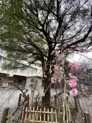 牛天神北野神社の庭園