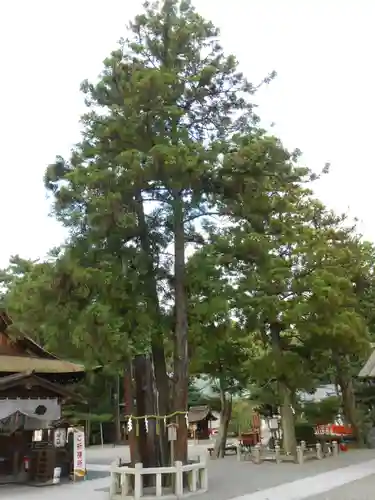 建部大社(滋賀県)