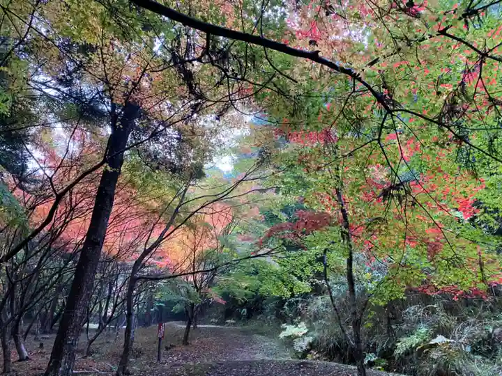和氣神社(和気神社)の庭園