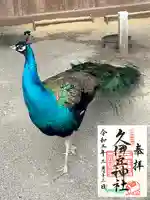 岩槻久伊豆神社の御朱印