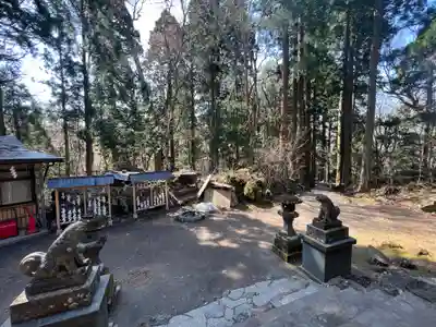 十和田神社の狛犬